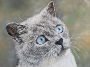 dessin chat aux pastels