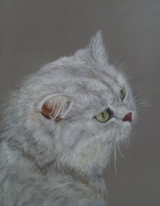 dessin chat aux pastels