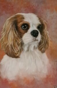 dessin chien cavalier king charles