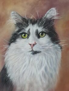 dessin chat aux pastels