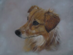 dessin chien