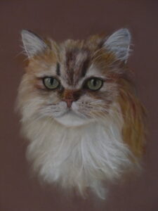 dessin chat aux pastels