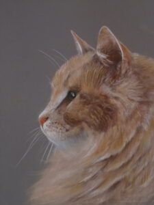 dessin chat aux pastels