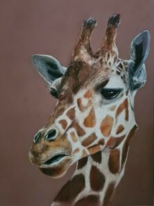 dessin girafe