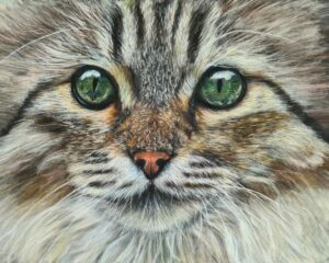 dessin chat norvégien aux pastels